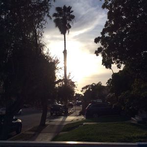 Meet your Posher, Rosie